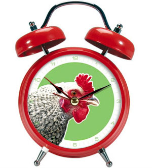 alarm-clock-ayam-jago