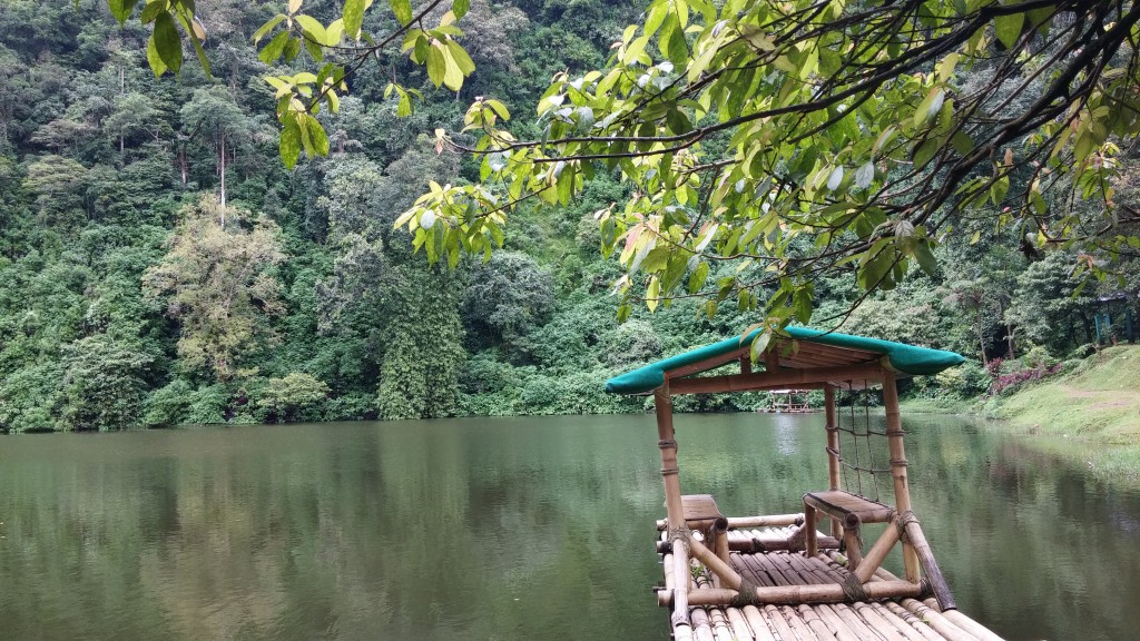 blog-101