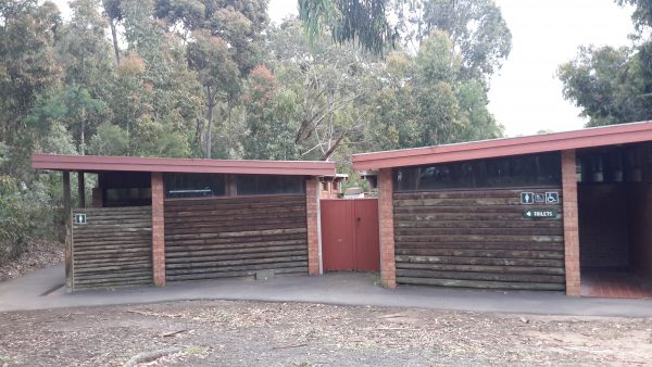 blog1